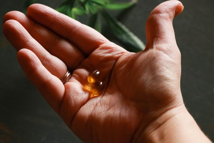 Top 8 Best Fish Oil Supplements